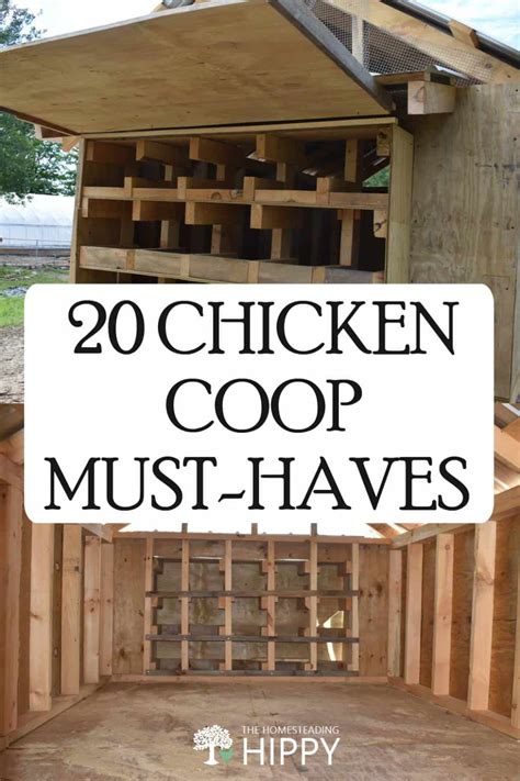 Chicken Coop Design MUST HAVES .